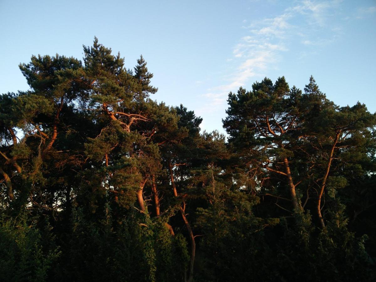 Ferienwohnung Am Kustenwald Trassenheide Εξωτερικό φωτογραφία